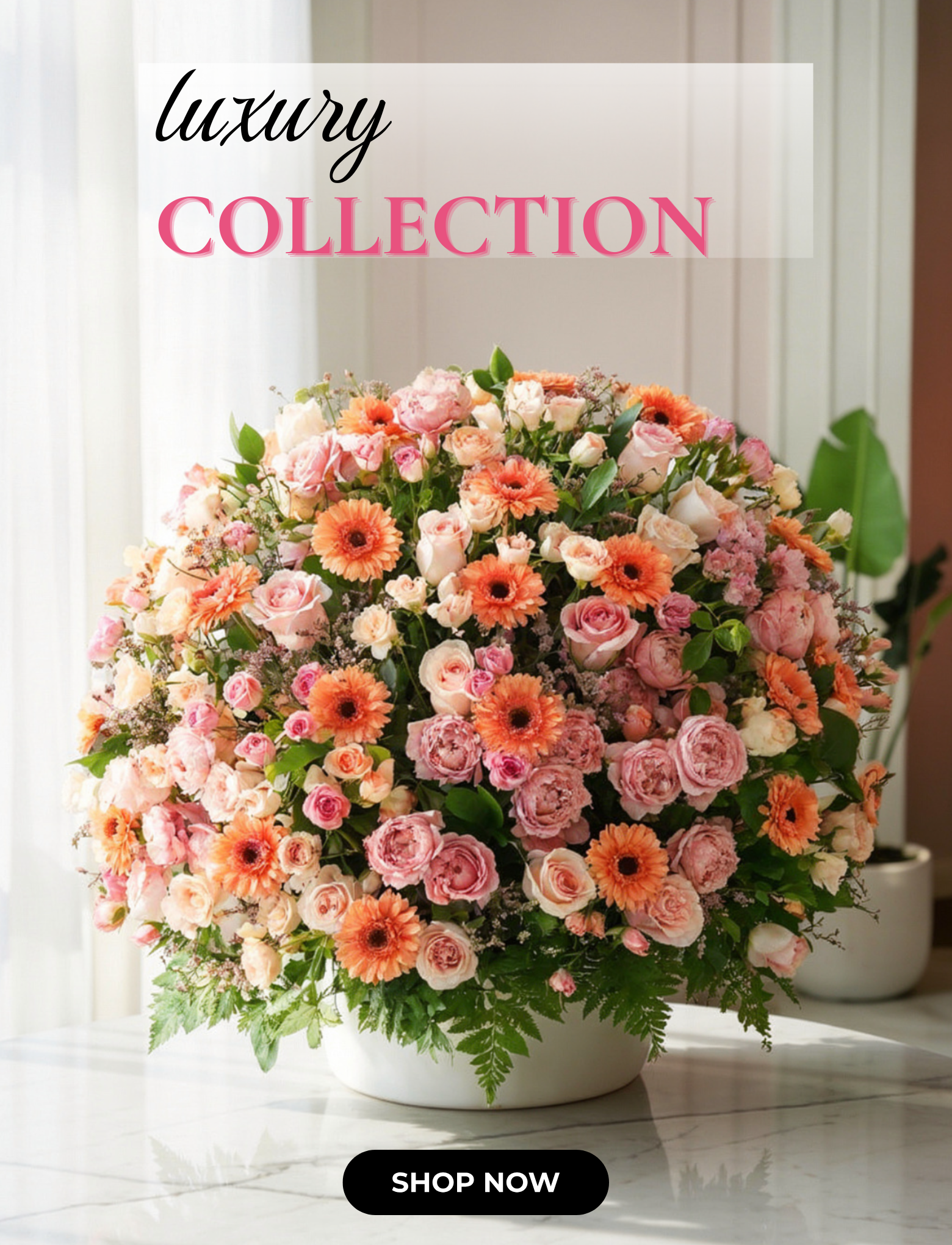 ae/flowers/premium