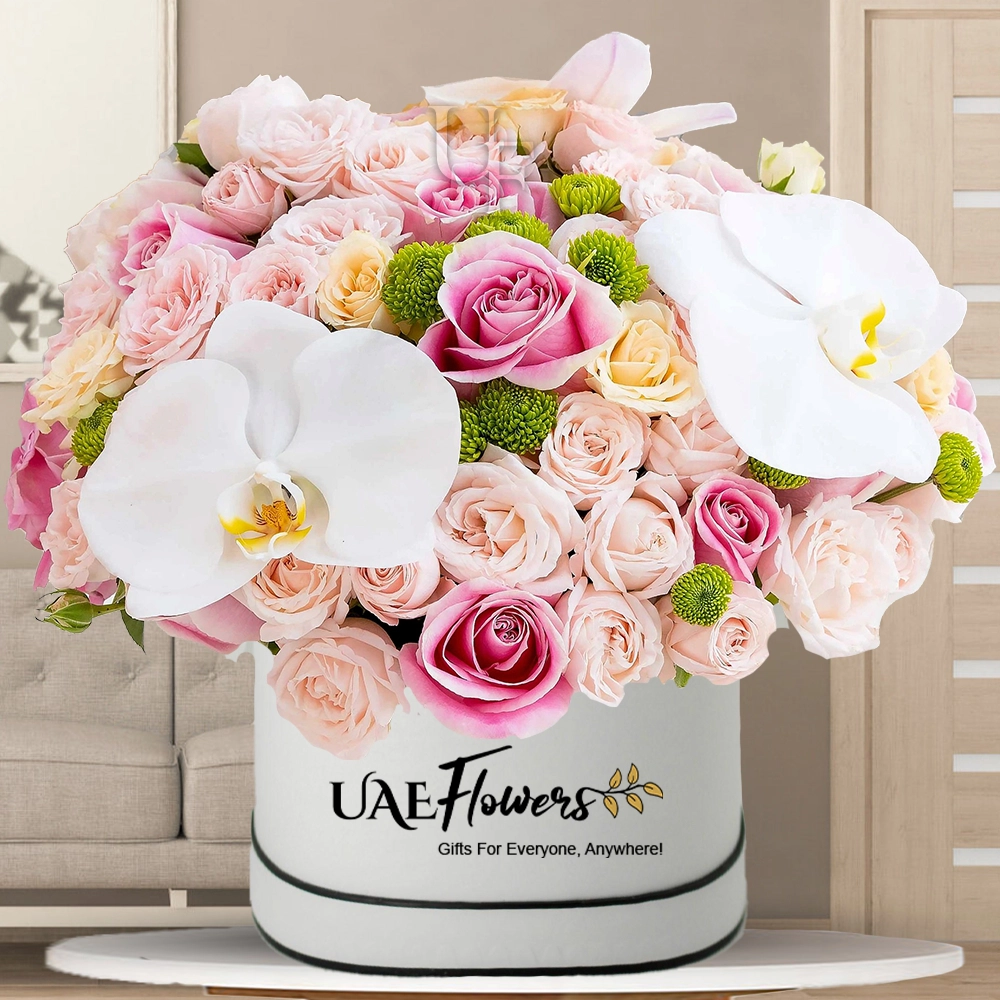 30 peach roses, 10 pink roses, 5 green button chrysanthemums, and 1 white phelenolphasis orchid in a white round box