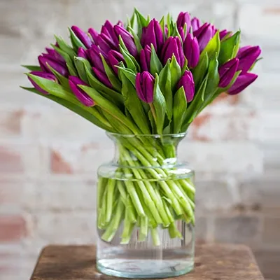 30 purple tulips and fillers in a glass vase