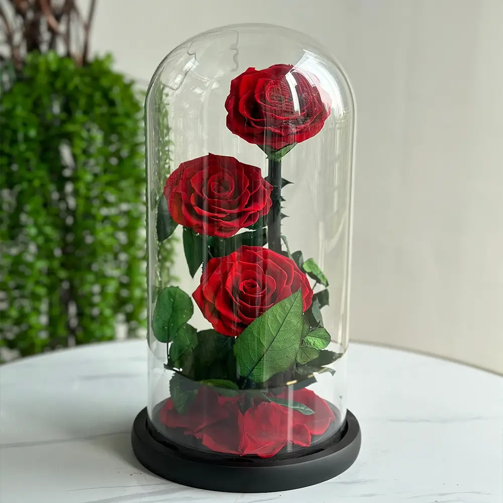 3 red forever roses in an elegant glass box