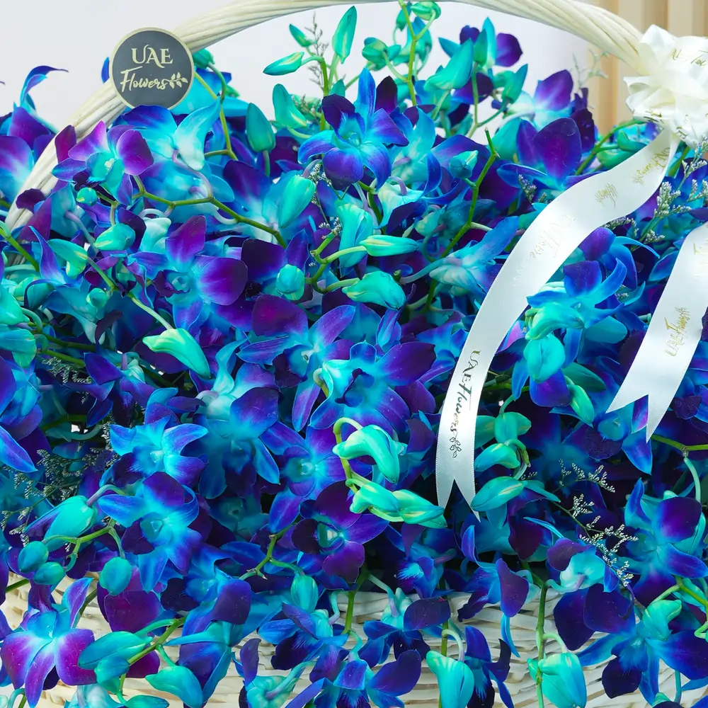 80 blue orchids with fillers in a charming handle basket