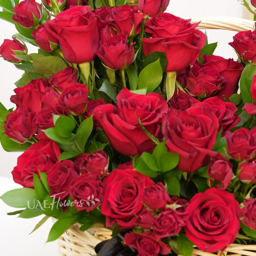 20 red roses and 5 red spray roses with green fillers.