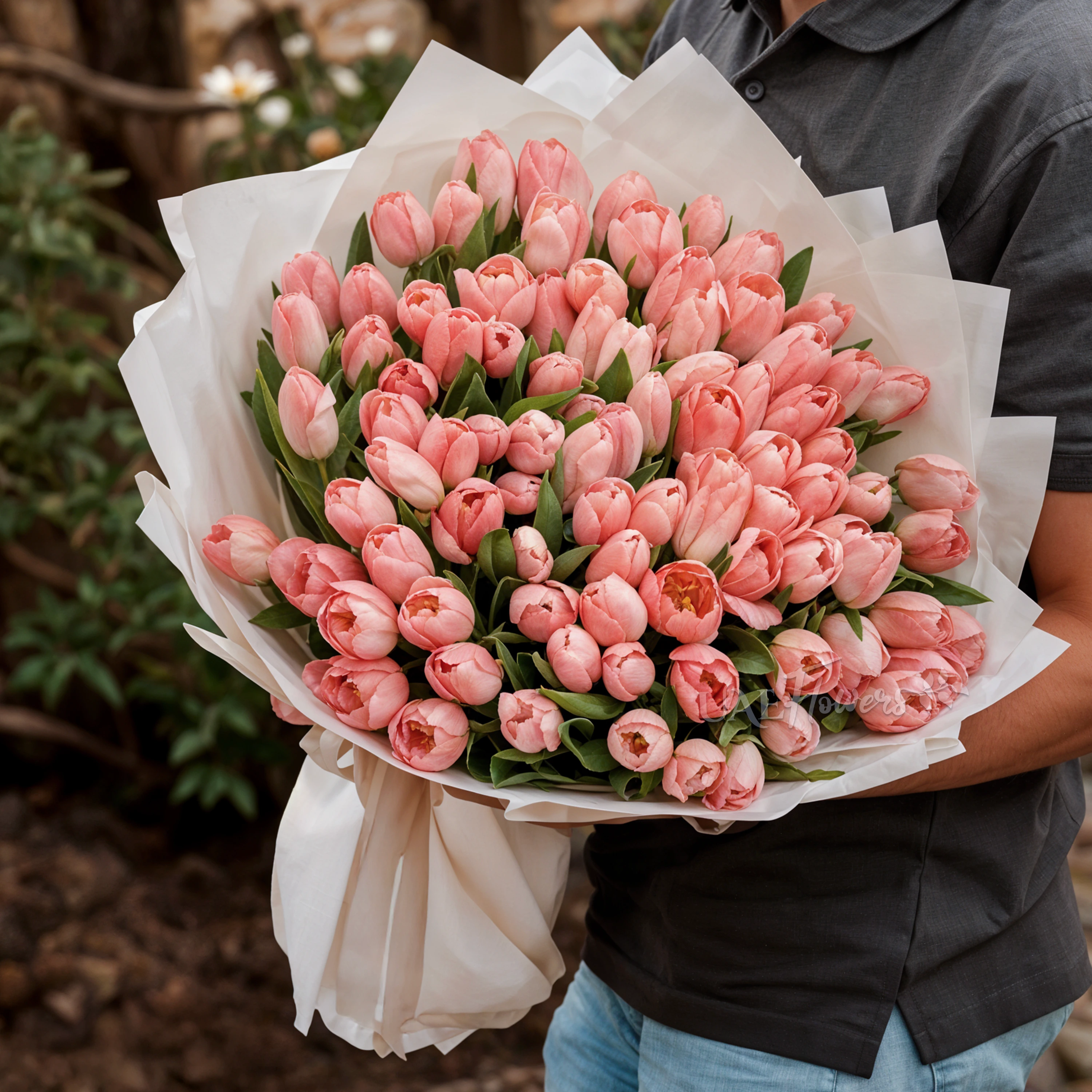 Gift XXL Tulip Bouquet