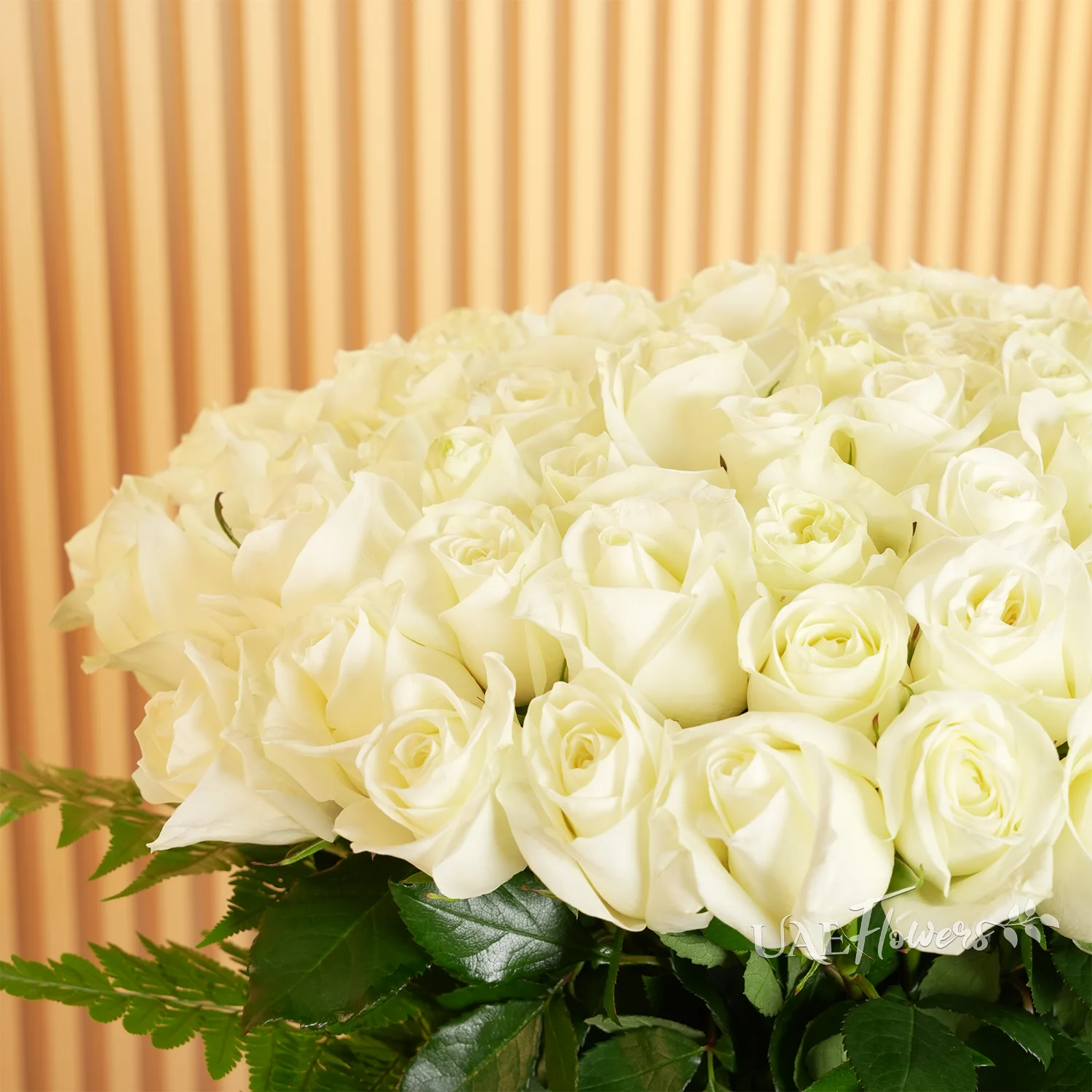 vase arrangement featuring 100 white roses with green fillers