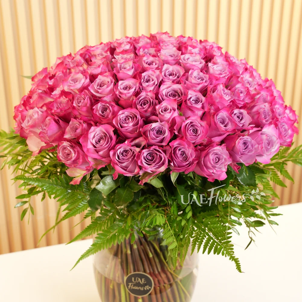 100 Stunning Purple Roses Vase