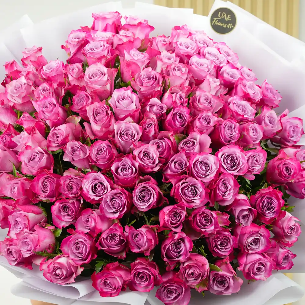 100 purple roses with fillers, wrapped in white paper and tied with ribbons