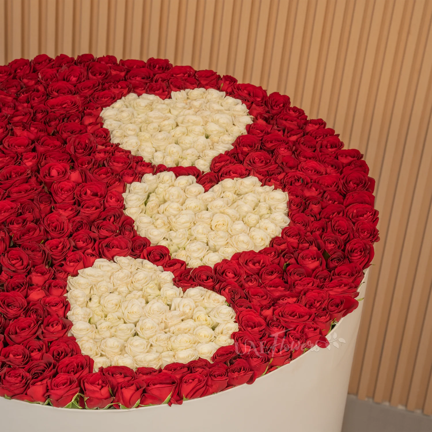 round box with 200 roses and spray roses