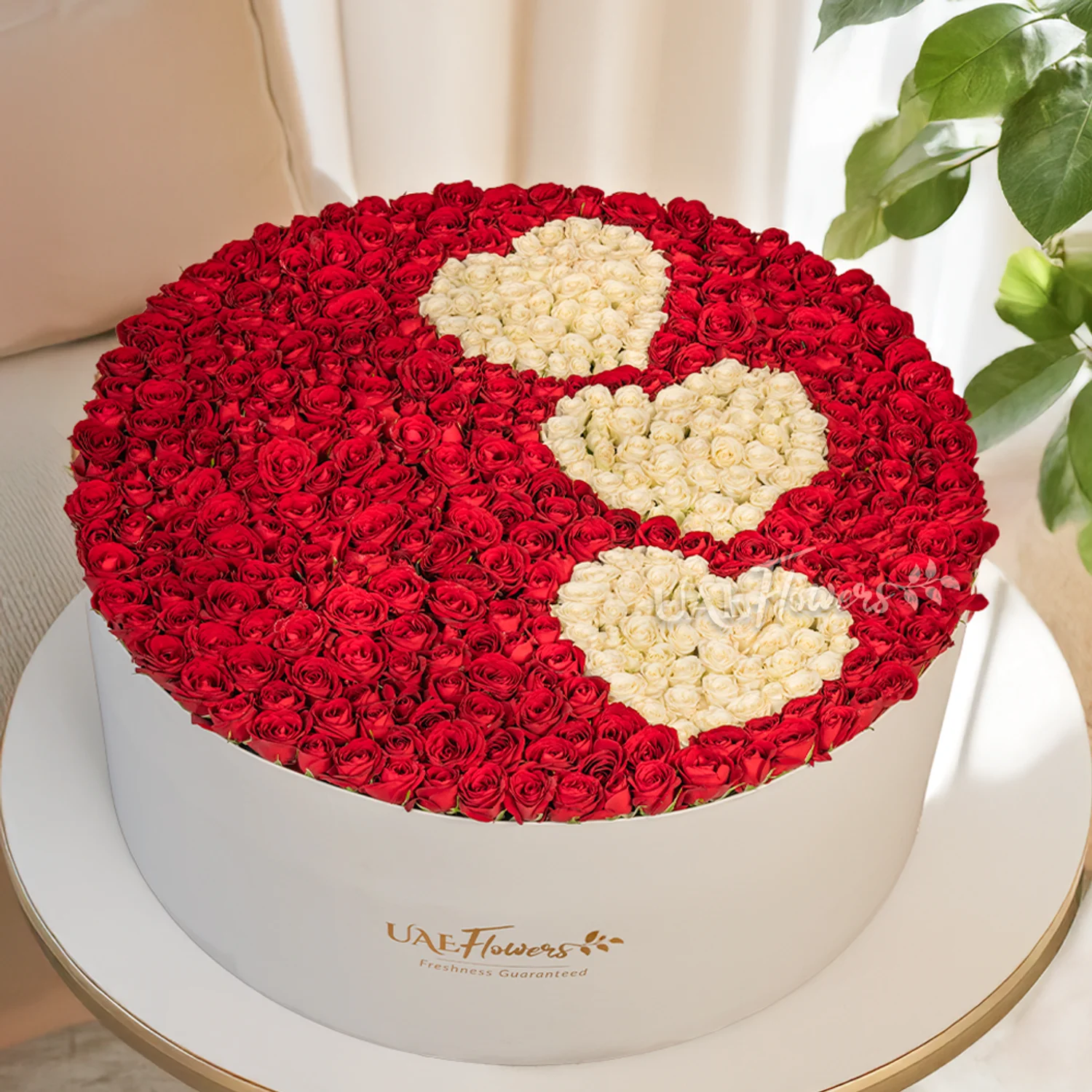 round box with 200 roses and spray roses
